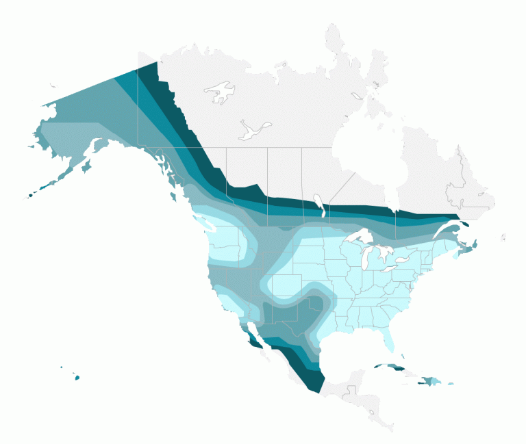 Galaxy-18 Coverage Map of North America